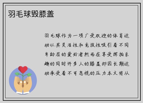 羽毛球毁膝盖